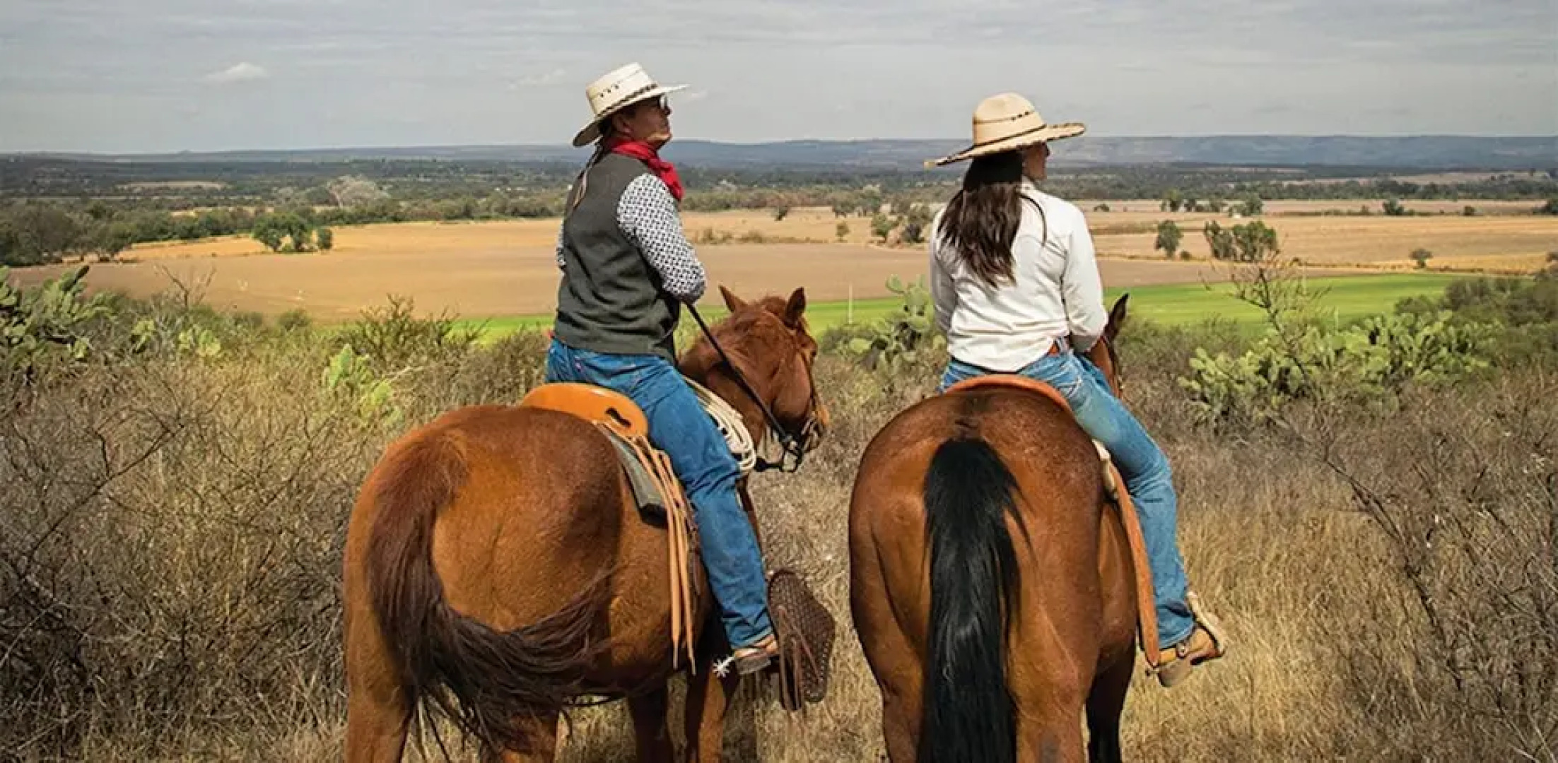 Rancho con Caballos El Reencuentro