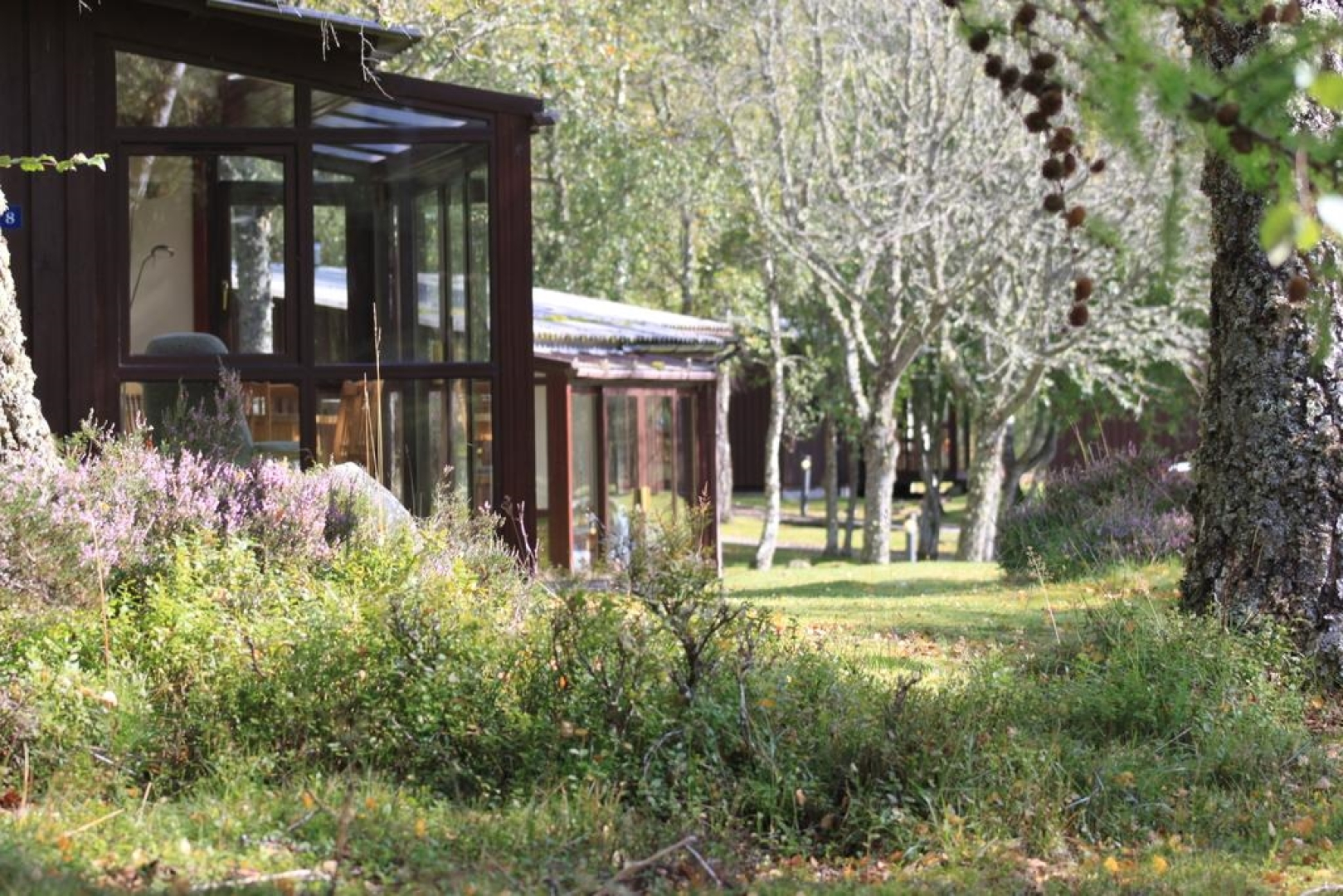 Macdonald Lochanhully Woodland Club