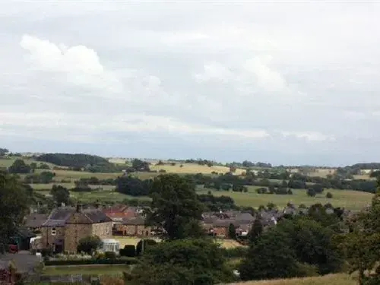 Black Bull Bellingham