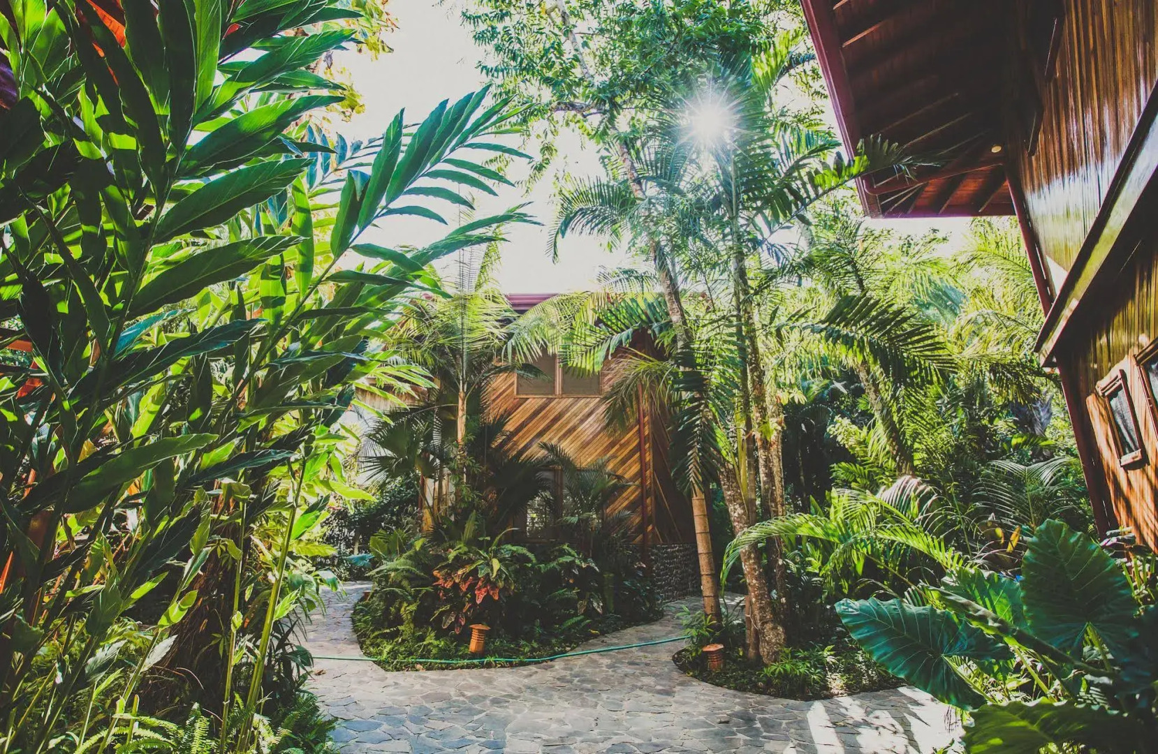 Tambor Tropical - Adults Only