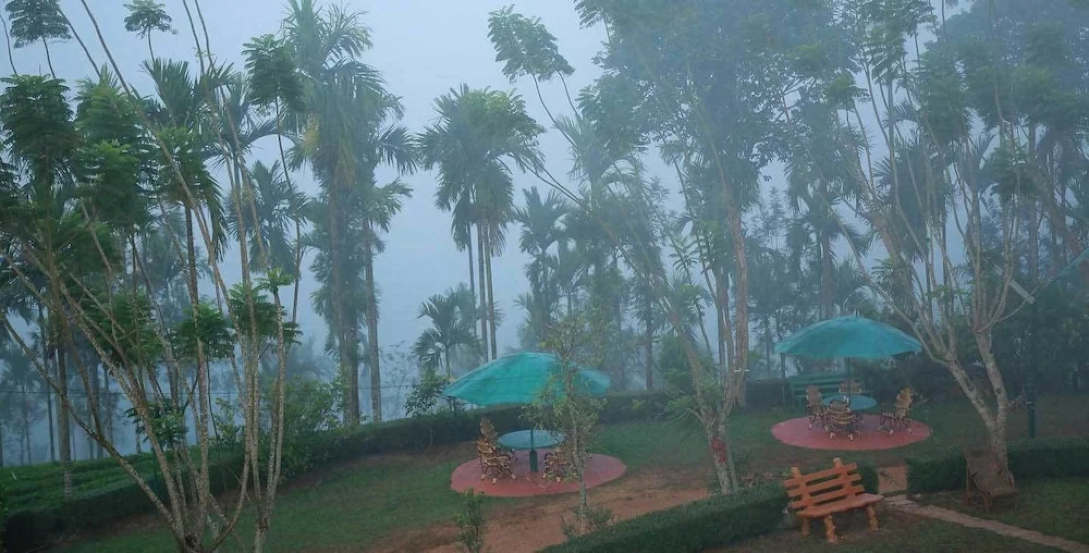 New Line Gods Land Resort