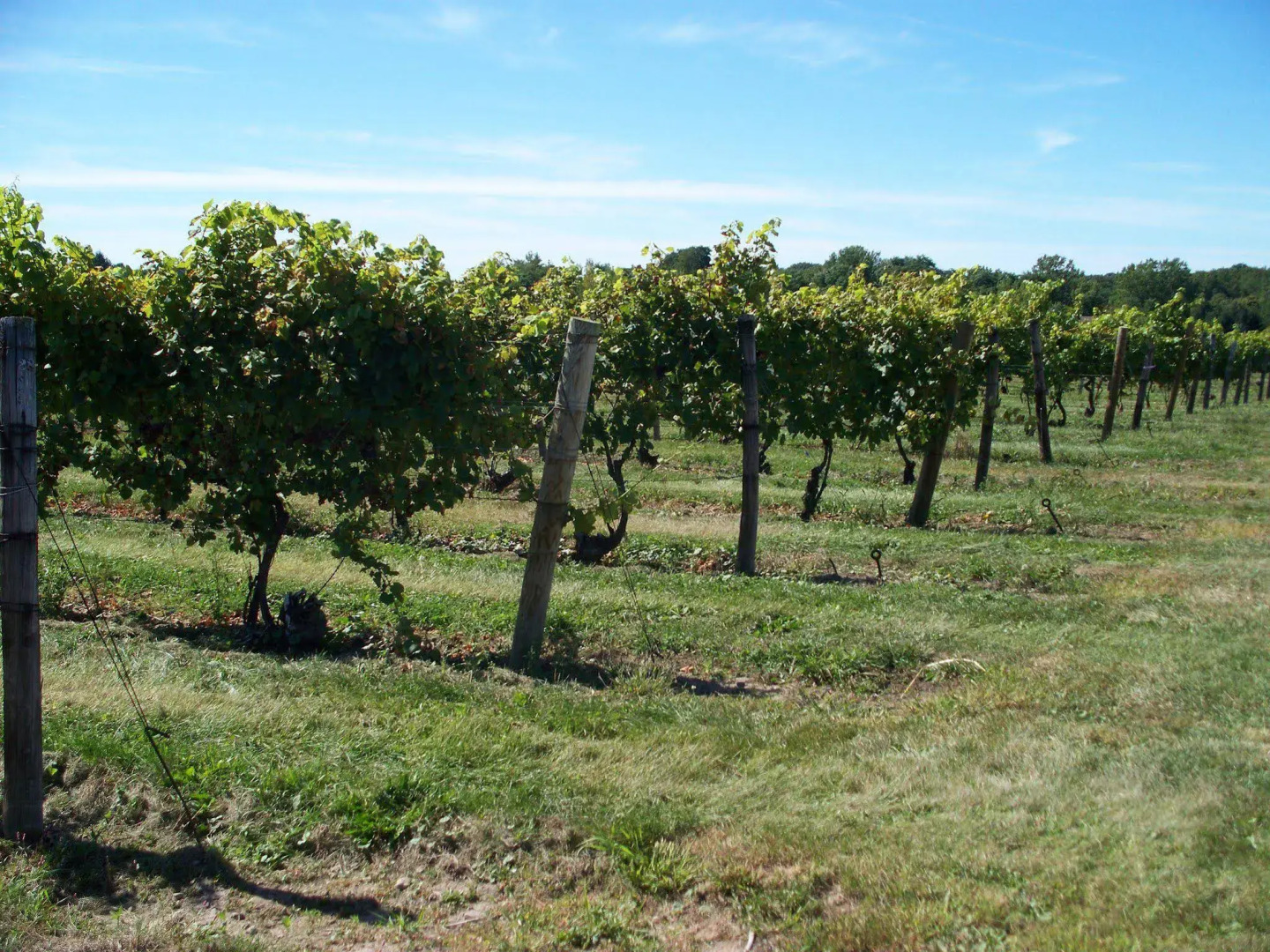 Hampton Inn Rochester Webster