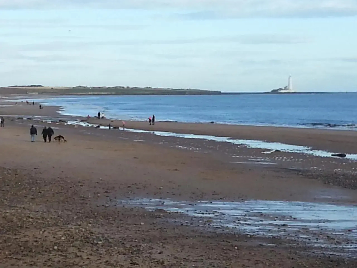 The Avalon Hotel - Guest House