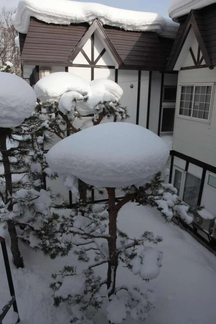 Chalet Burlap Furanui