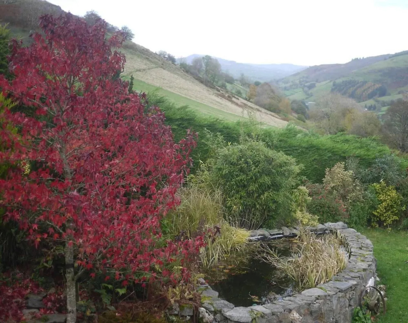 3-bed Cottage Near Lake Vyrnwy, Garden & Petsok