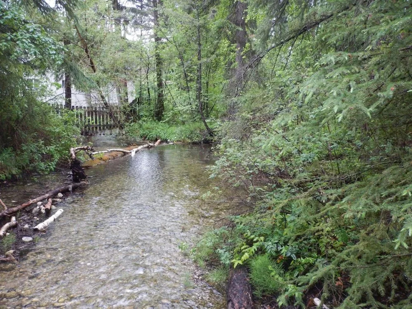 Springbrook Resort Motel & Cabins