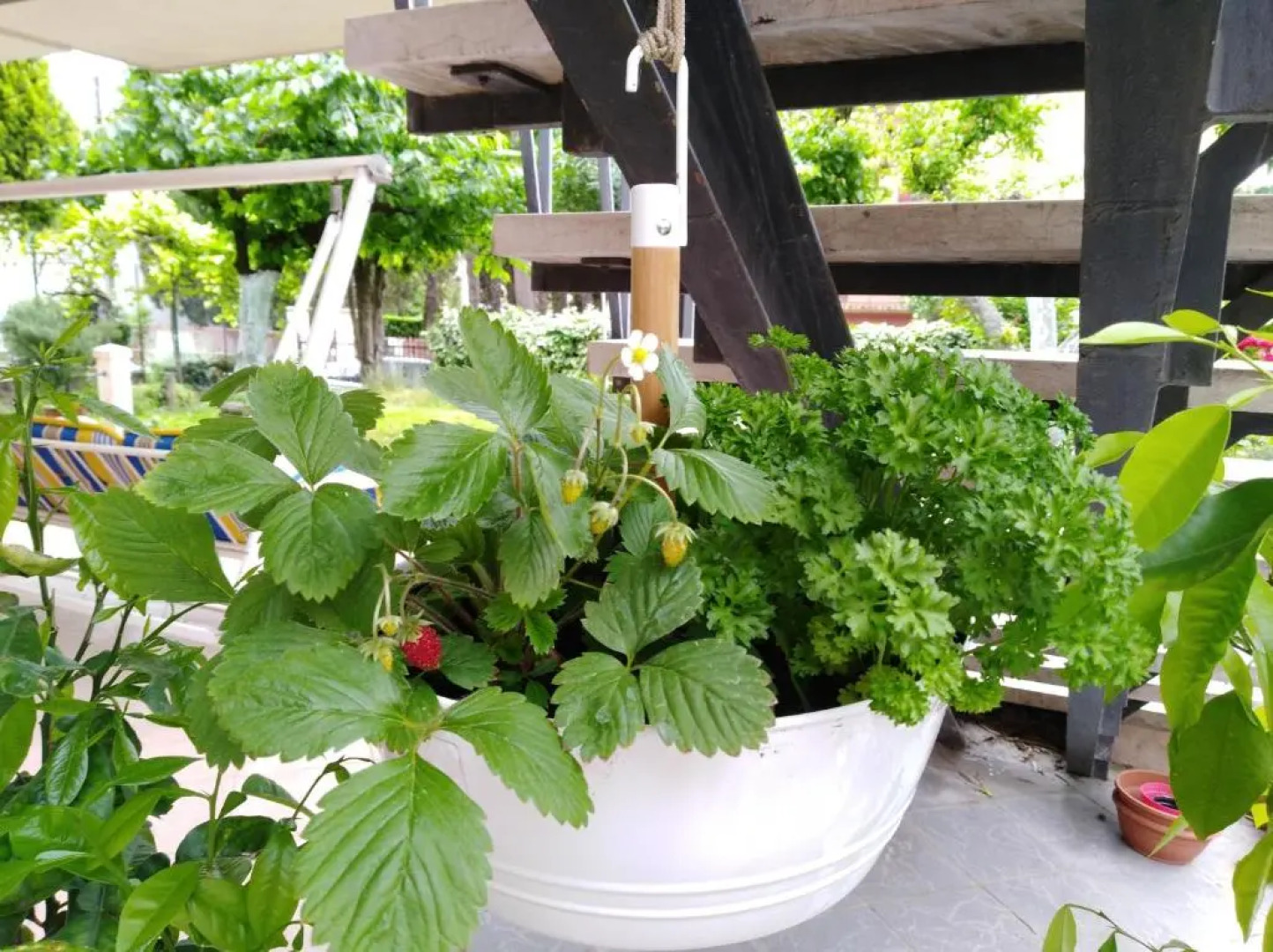 Appartamento zia Cecilia