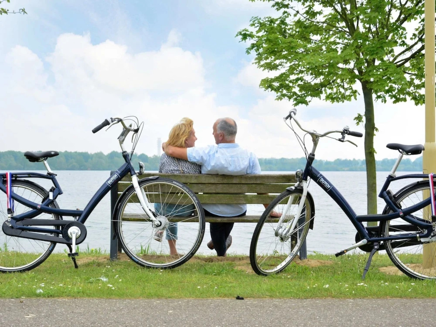 Villa in Maaspark With Sauna and Lake Views