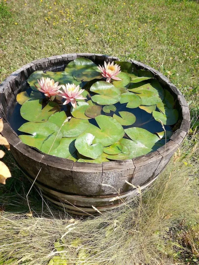The Bread Oven House