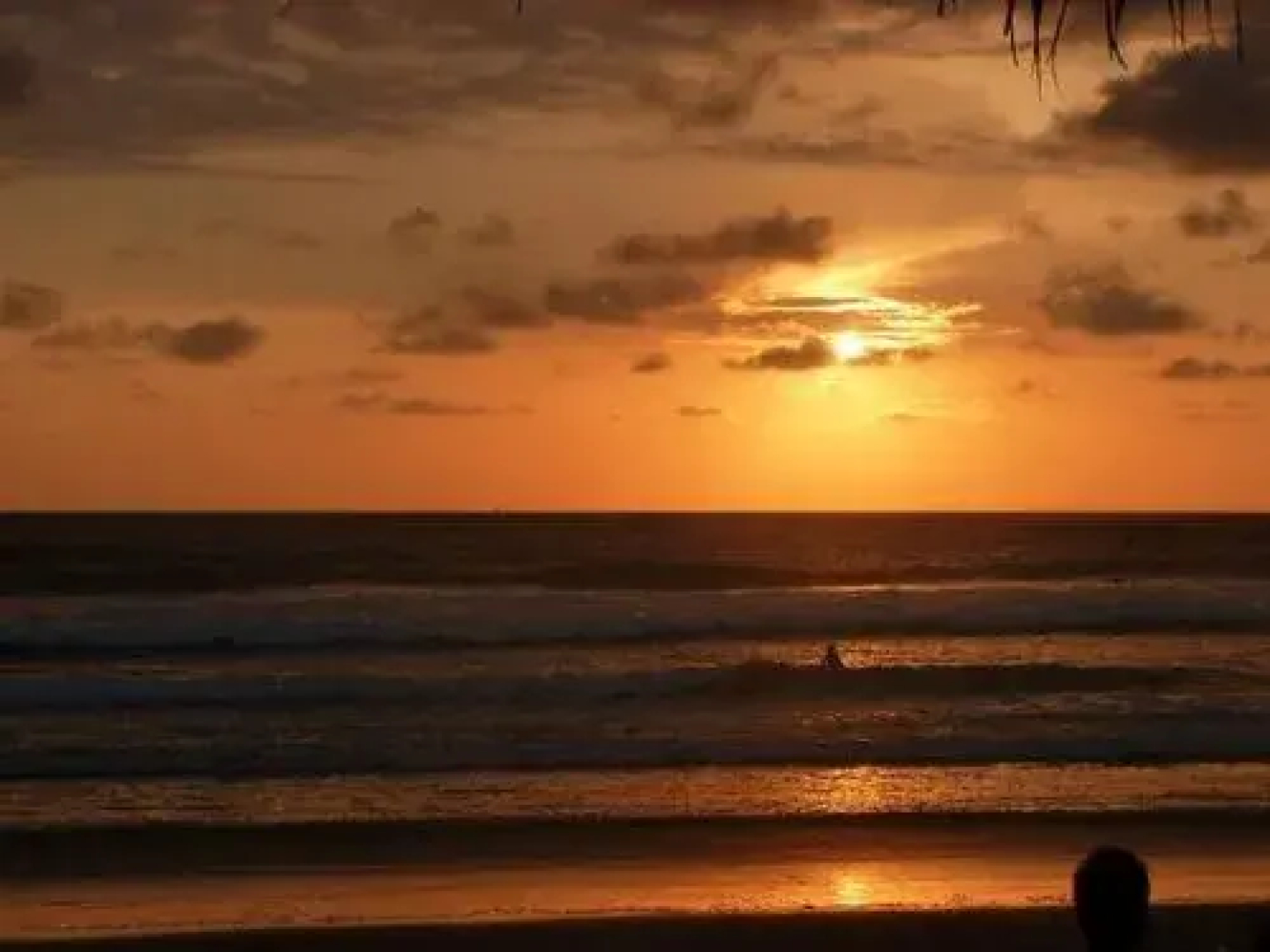 Arena Guadua Ecolodge Surfcamp