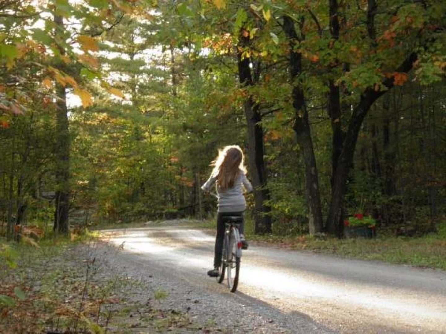 Westwind Inn on the Lake