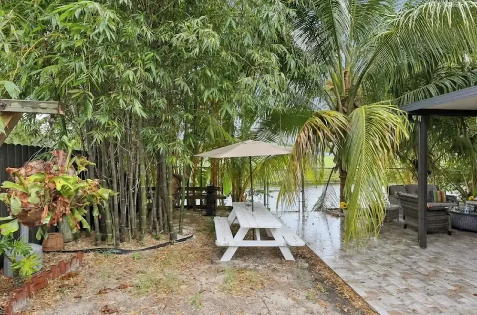 Tropical Miami Oasis