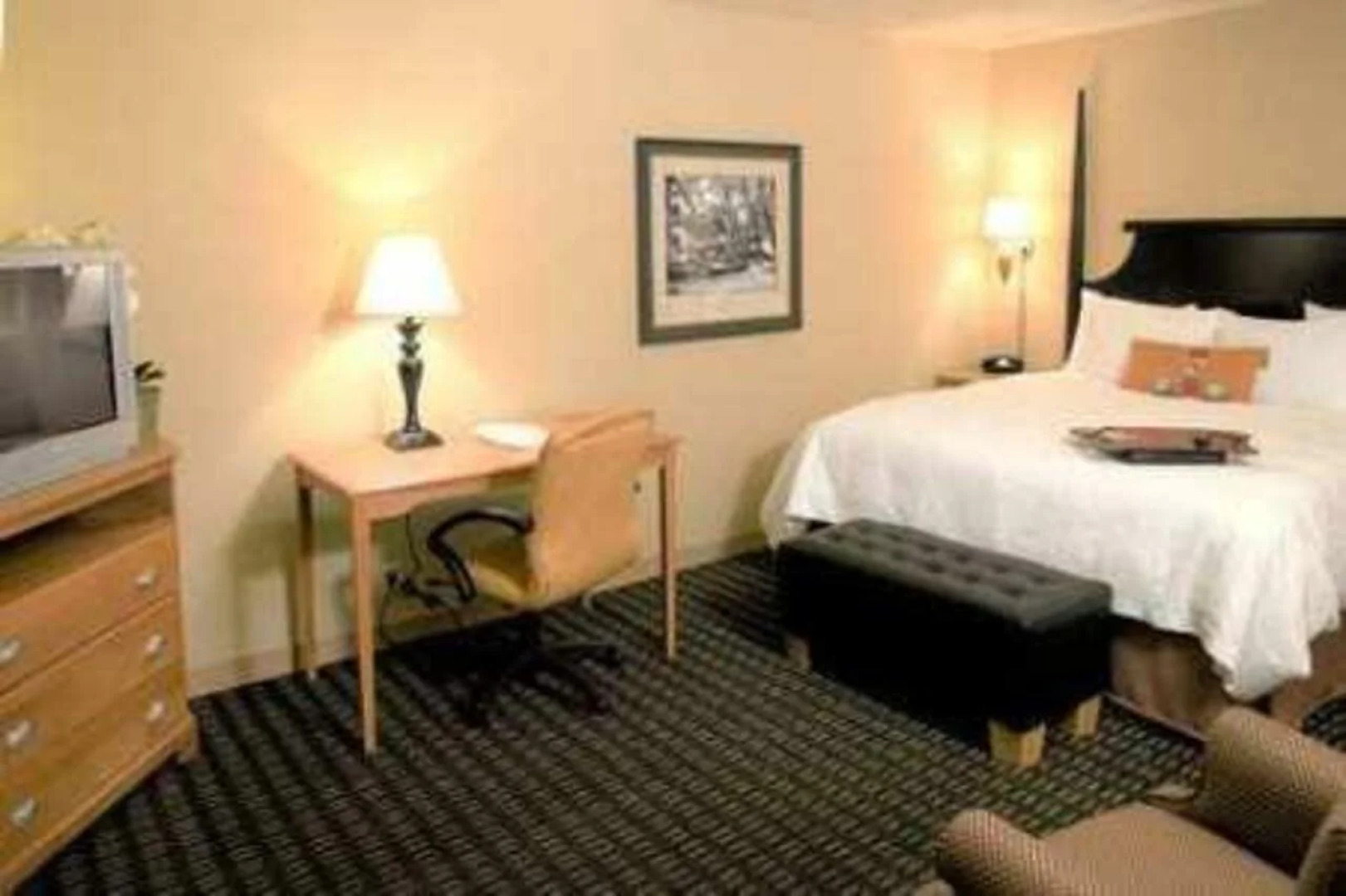 Hampton Inn & Suites Mobile Providence Park/Airport