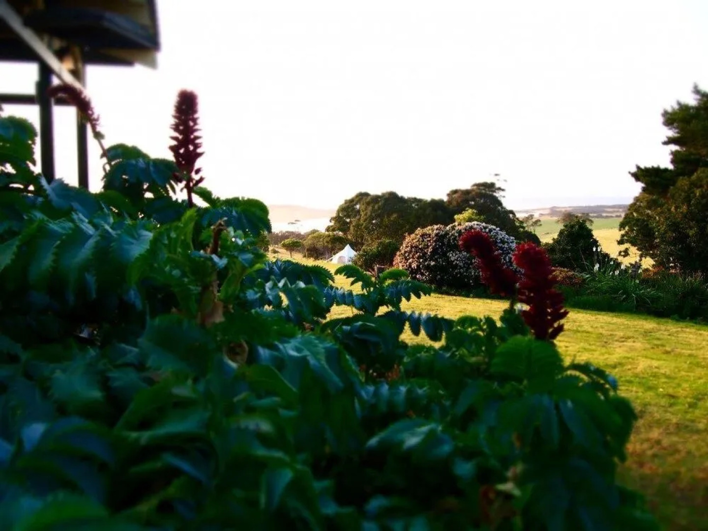 Tilba Lake Camp - Glamping