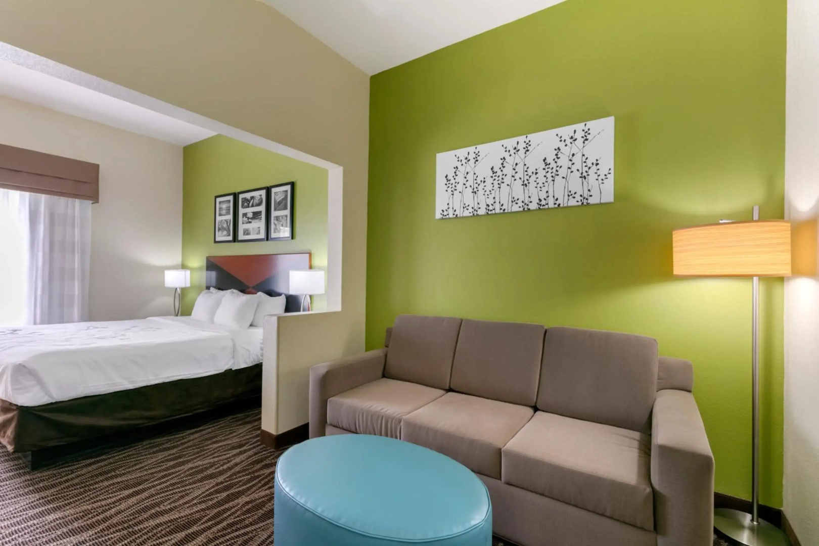 Sleep Inn & Suites Montgomery East I-85