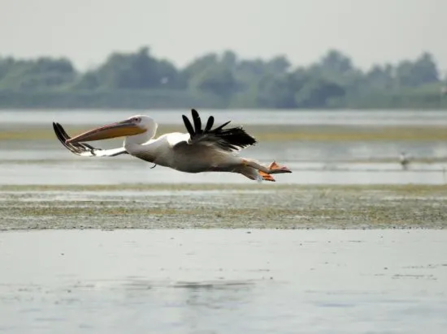 Vila Delta Travel - Mila 23