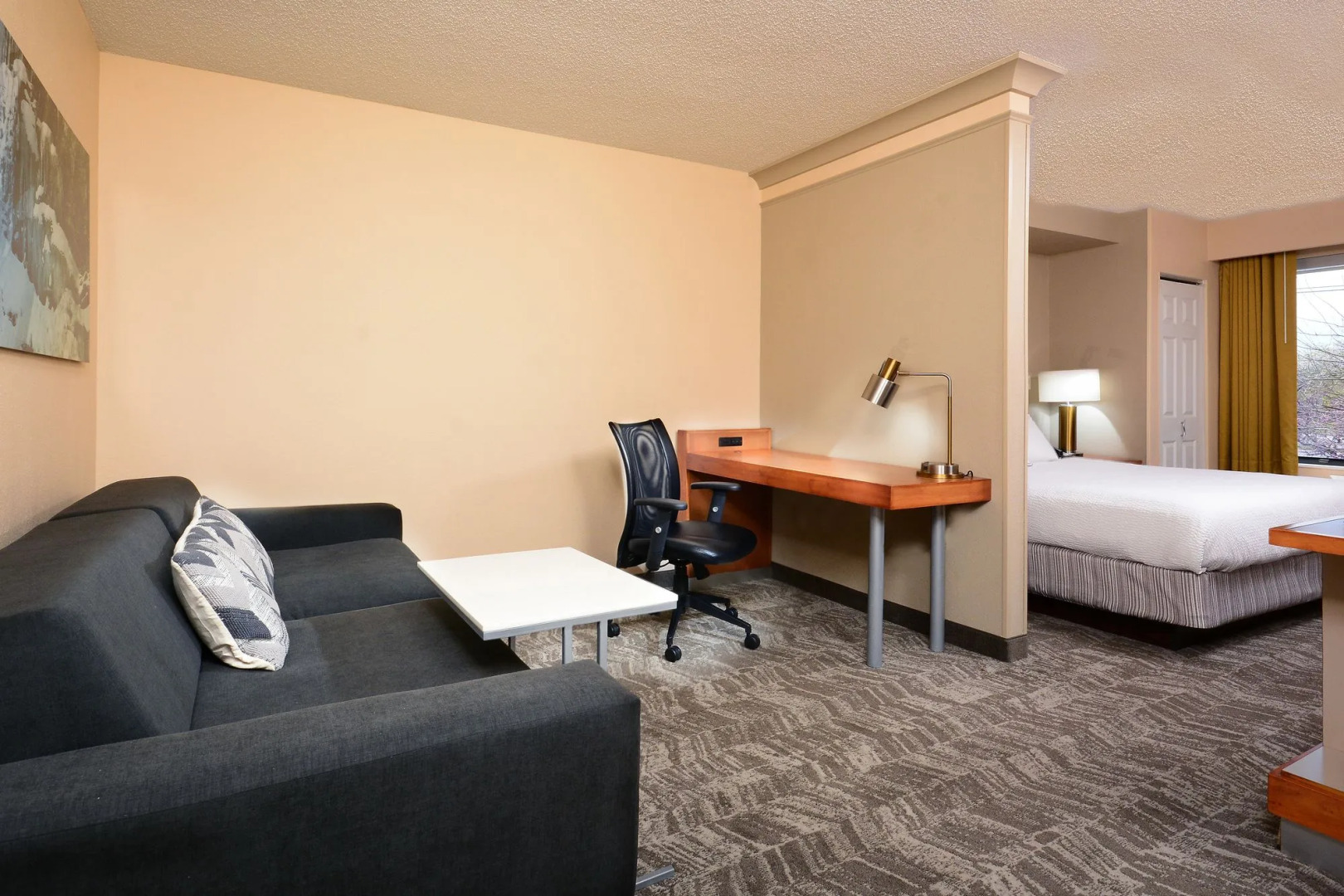 SpringHill Suites by Marriott Lynchburg Airport/University Area