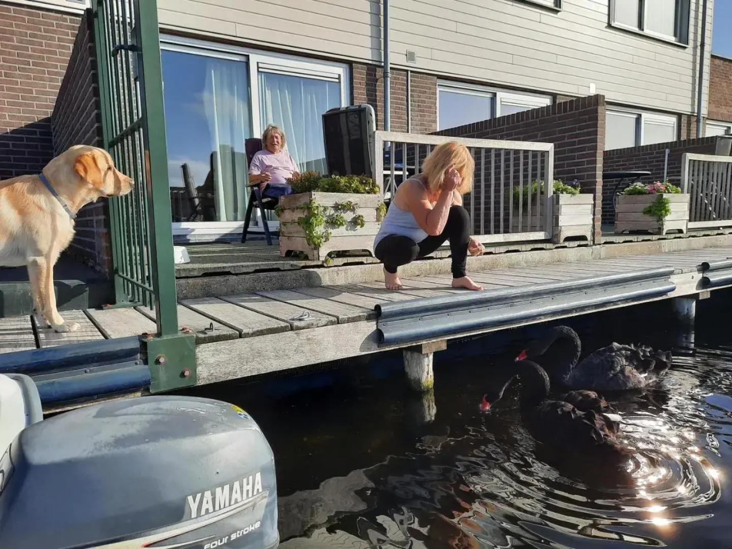 VVP Verhuur - Visserslust