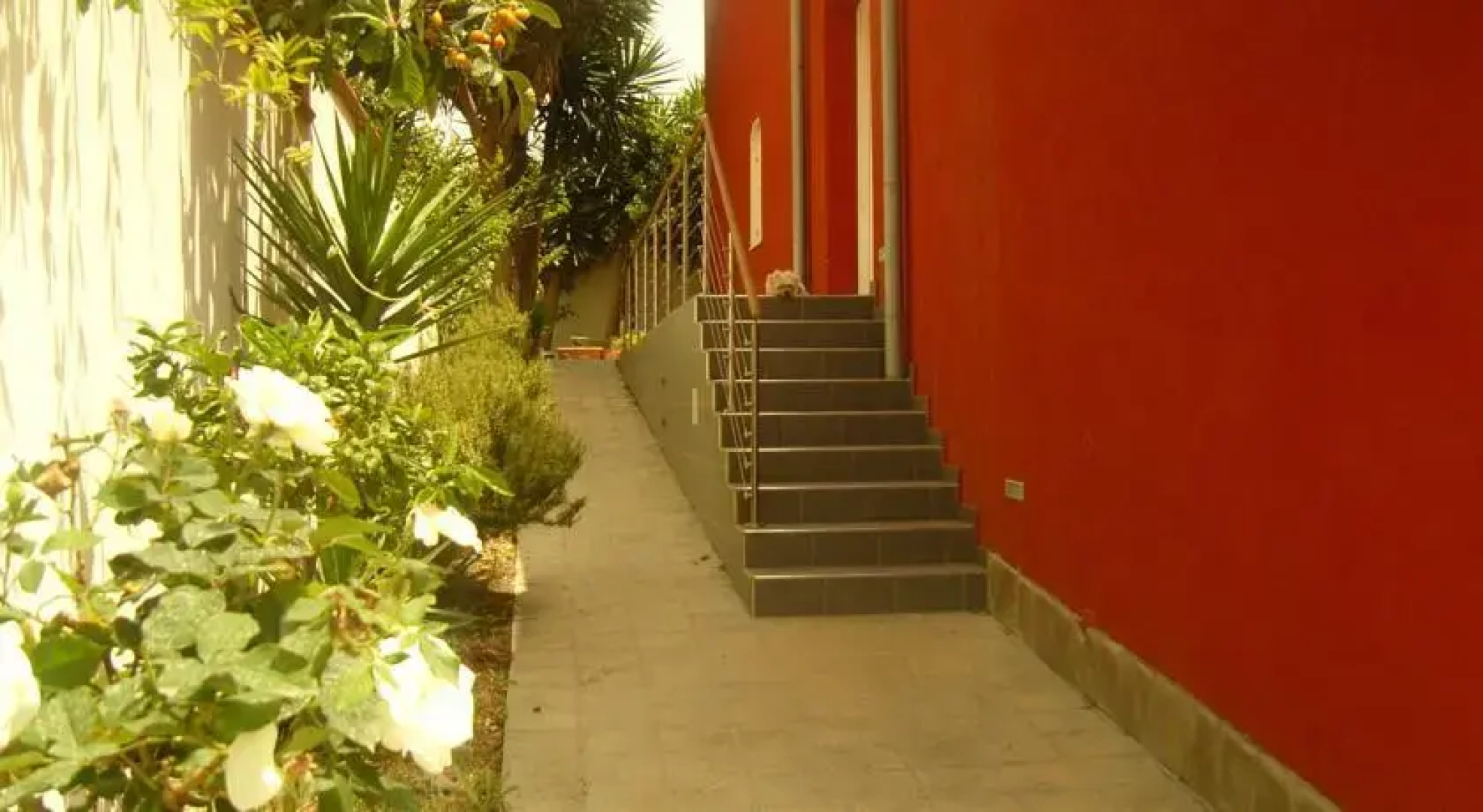 Delicius Family House