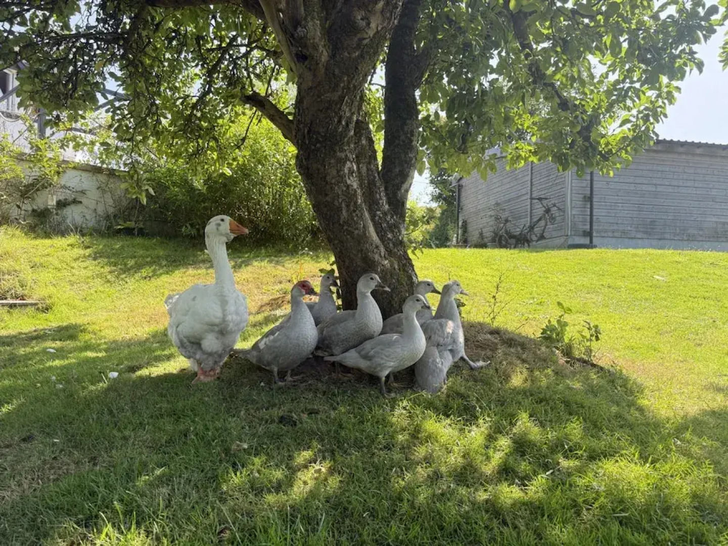 Lydvale Lodge in Lifton