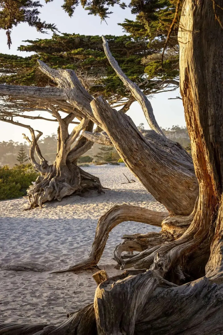 Home2 Suites by Hilton at the Dunes on Monterey Bay