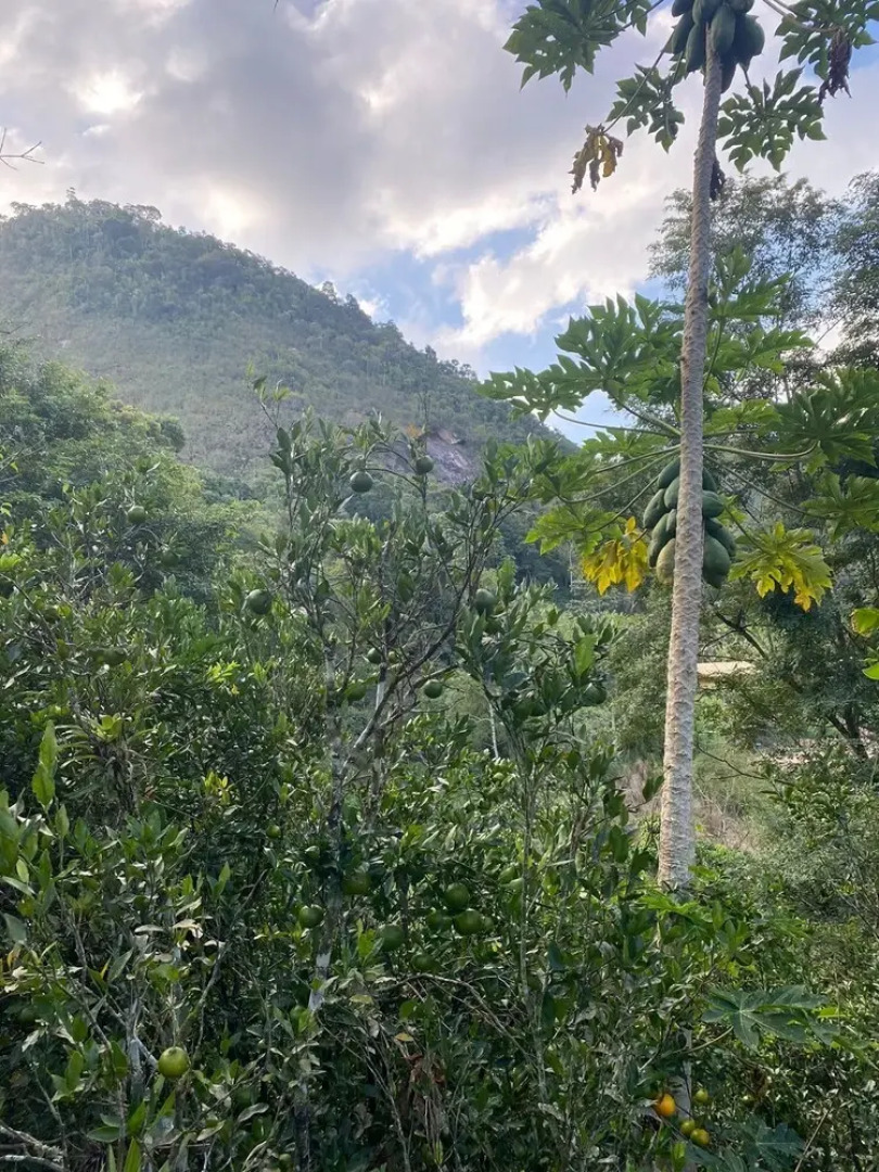 Sítio & Hospedagem Vistas de São Pedro