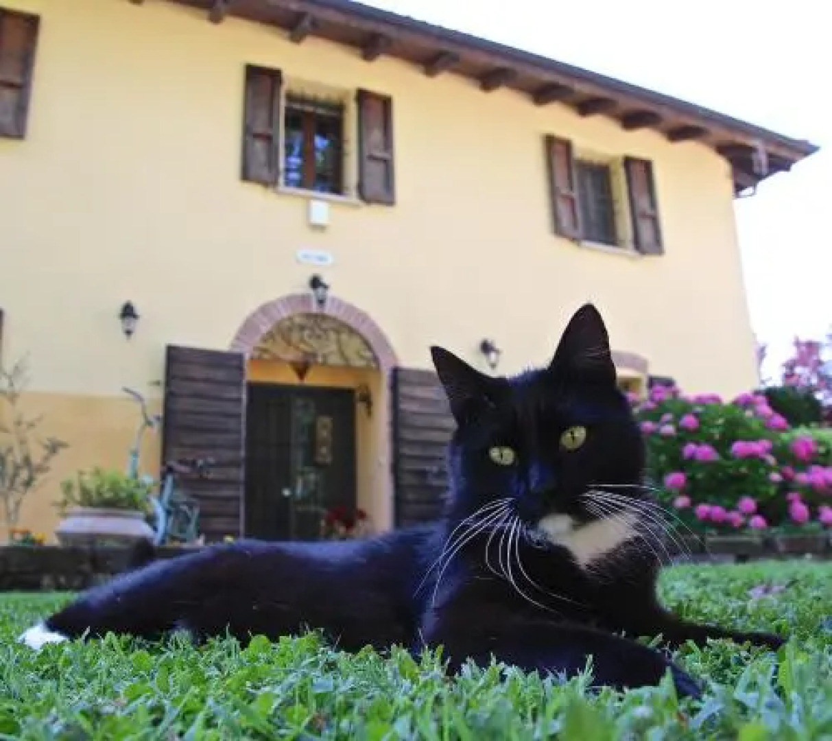 B&B Casale La Decima