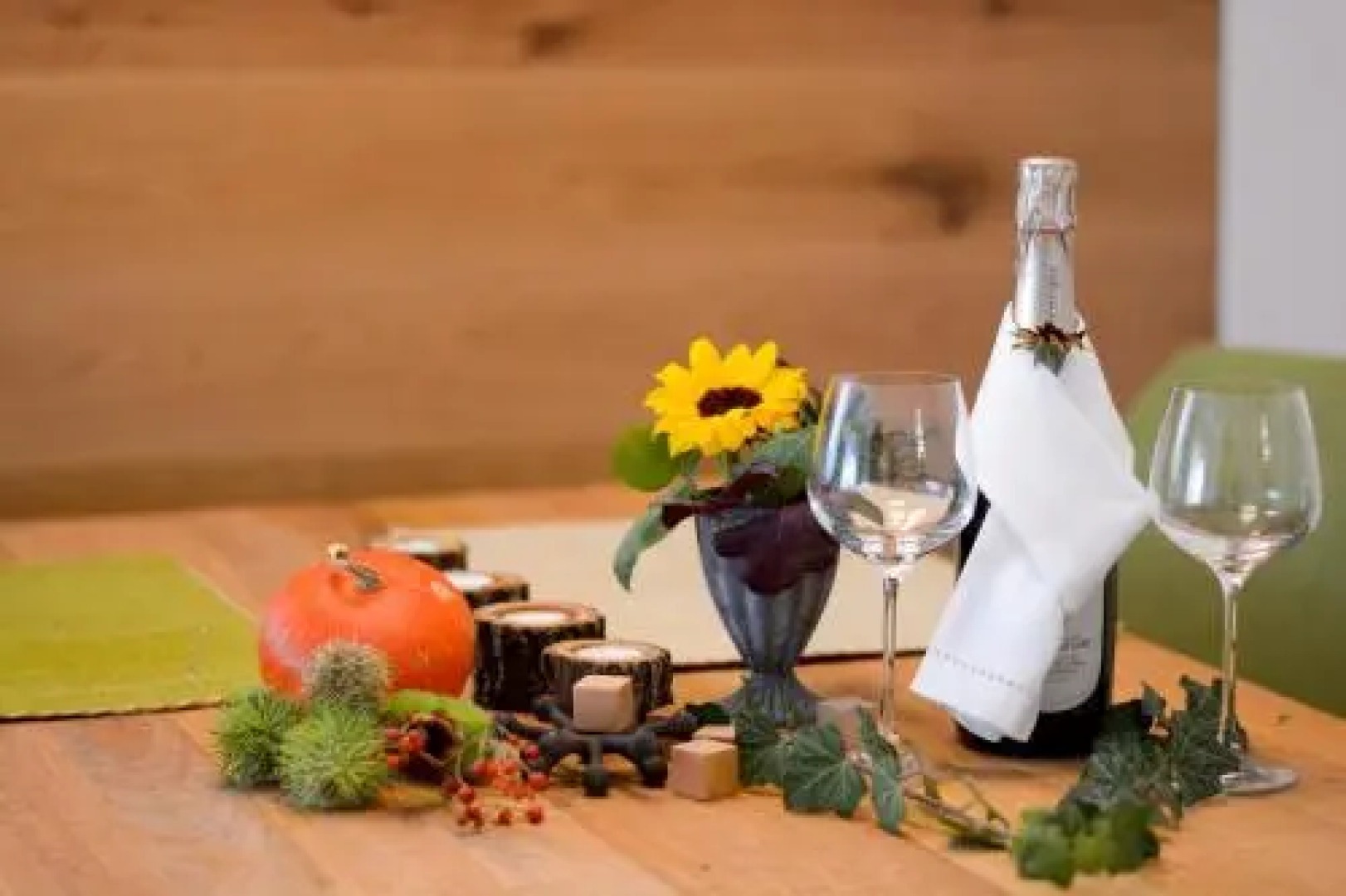 Spa & Wellness Apartment Gerda