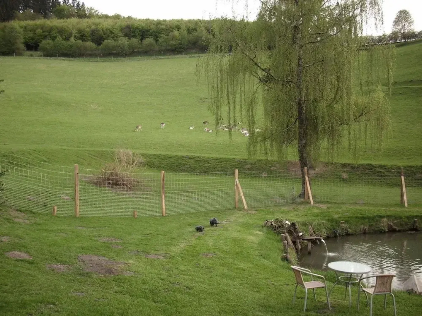 Apartment in Bruchhausen mit Terrasse