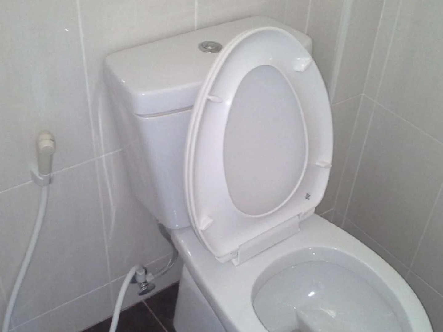 Camotes Flying Fish Resort