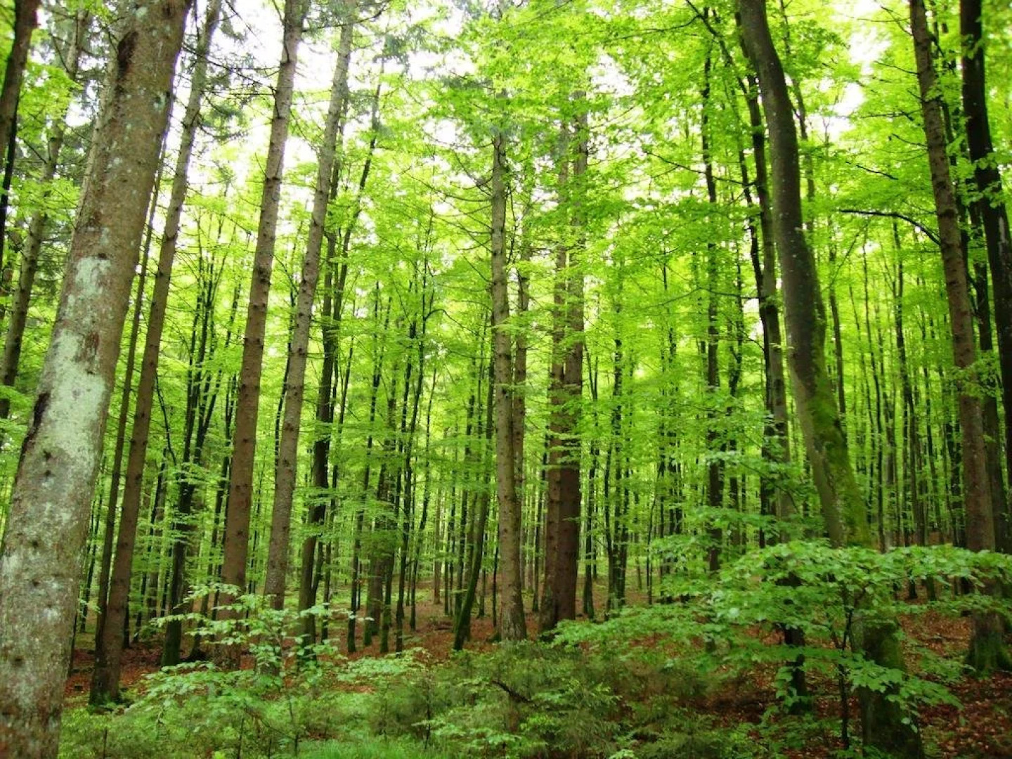 Krämerwirt Hotel-Gasthof