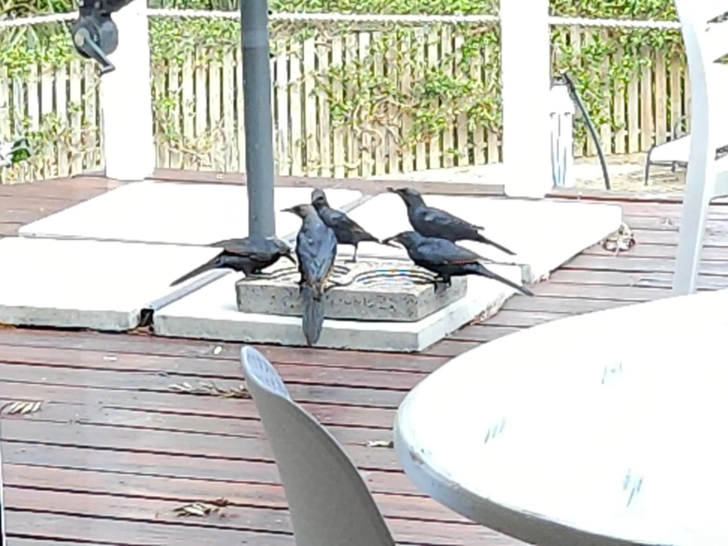 Stannards Guest Lodge