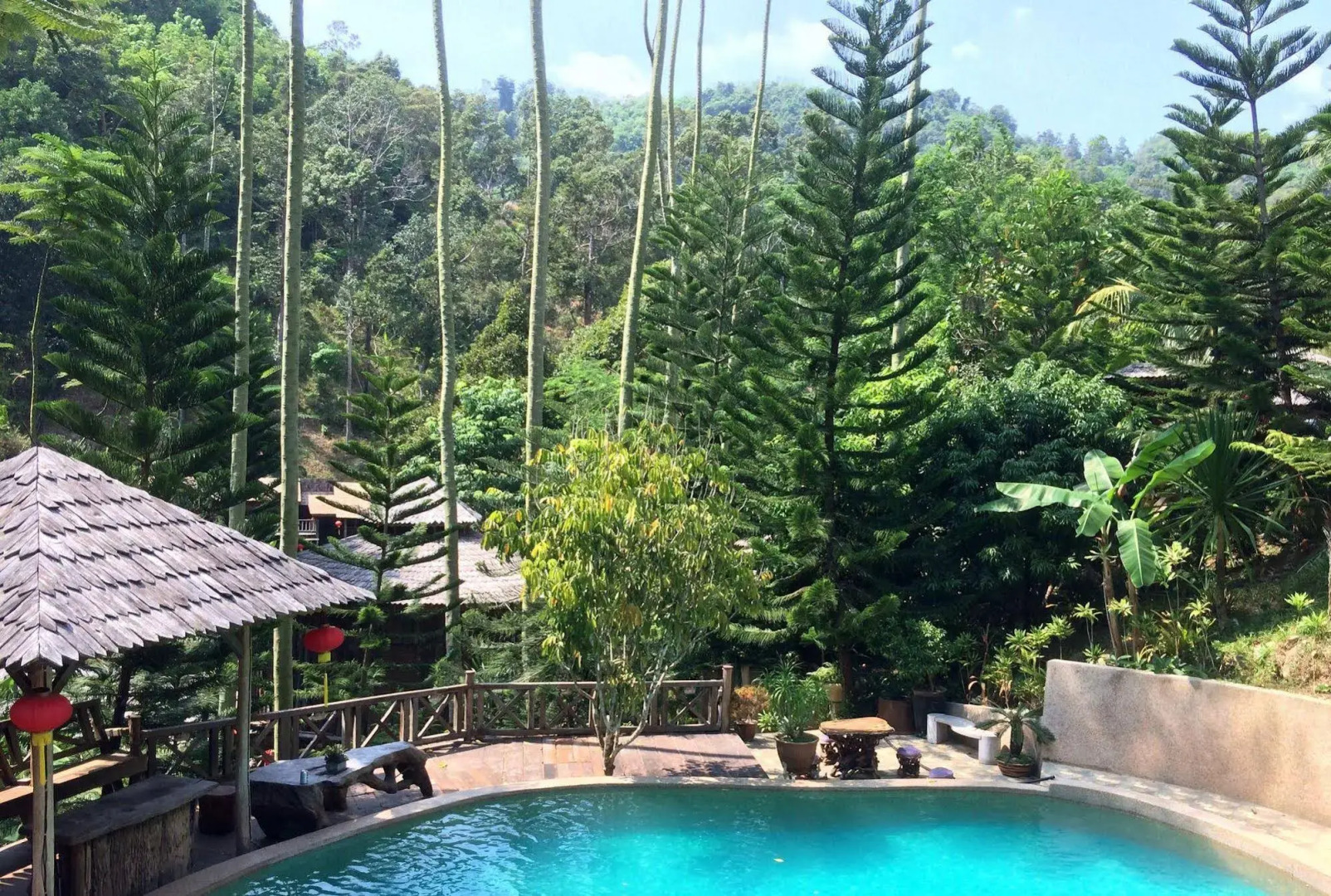 Fig Tree Hill Resort