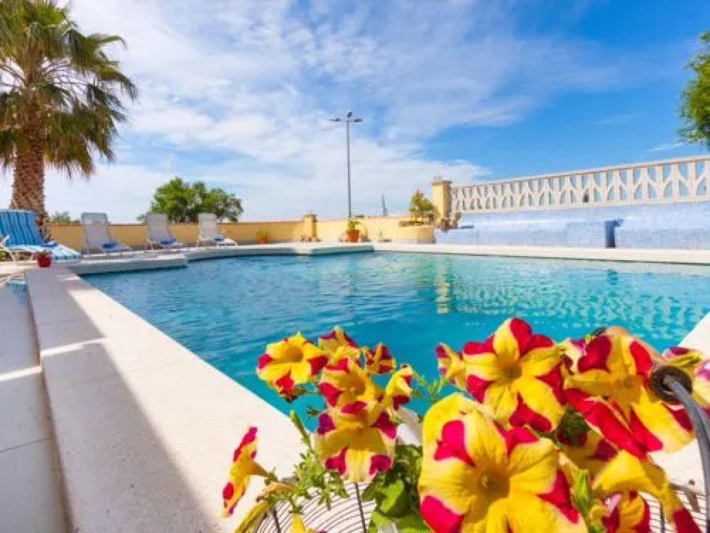 House LA OLIVA Palau Savardera