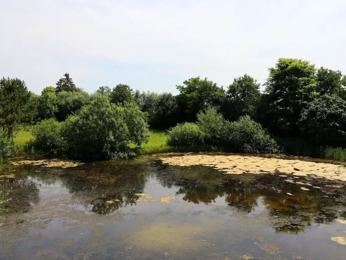 Rustic-style Apartment in Buschenhagen With Garden