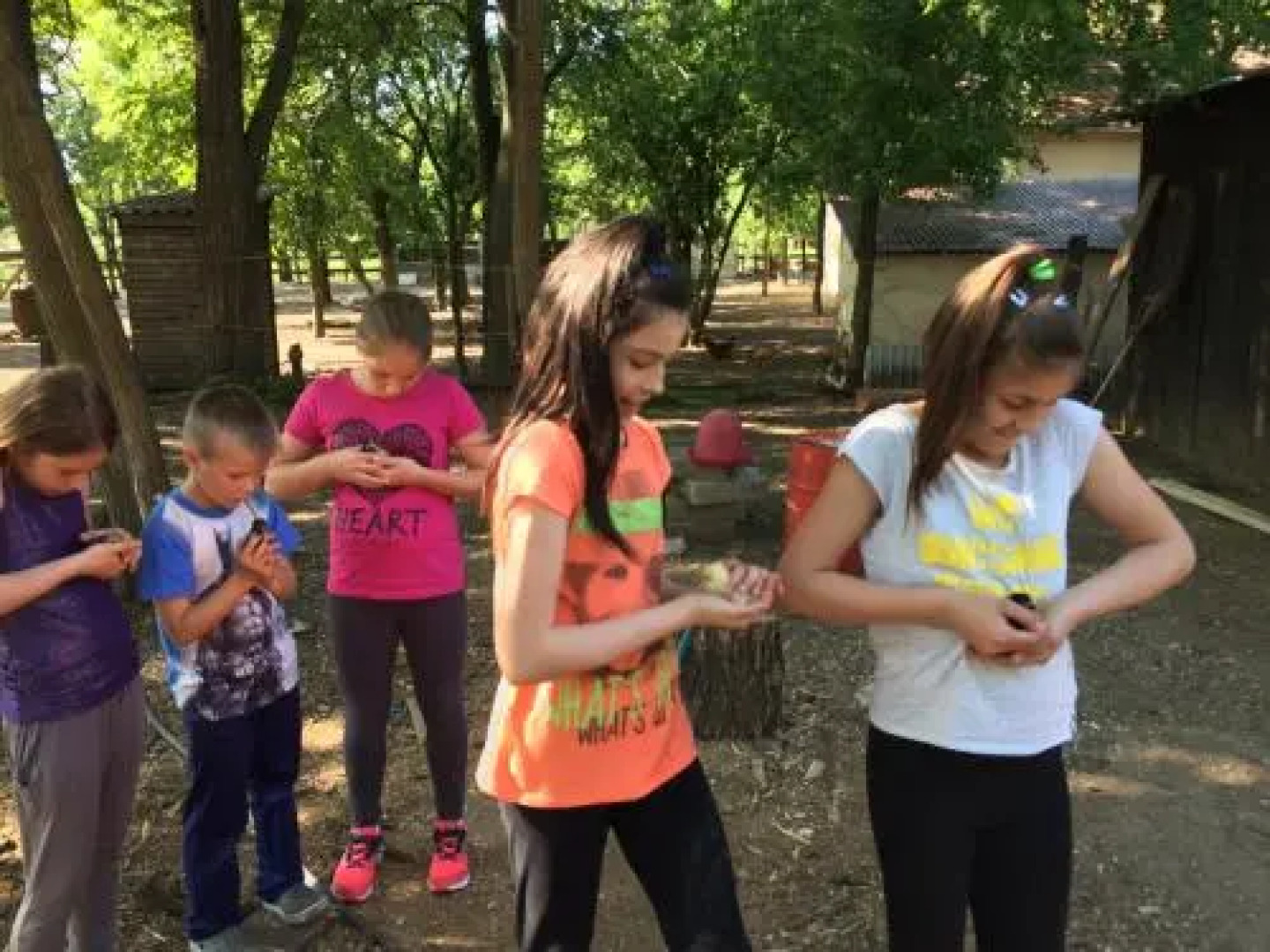 Kiscsere Vendégház