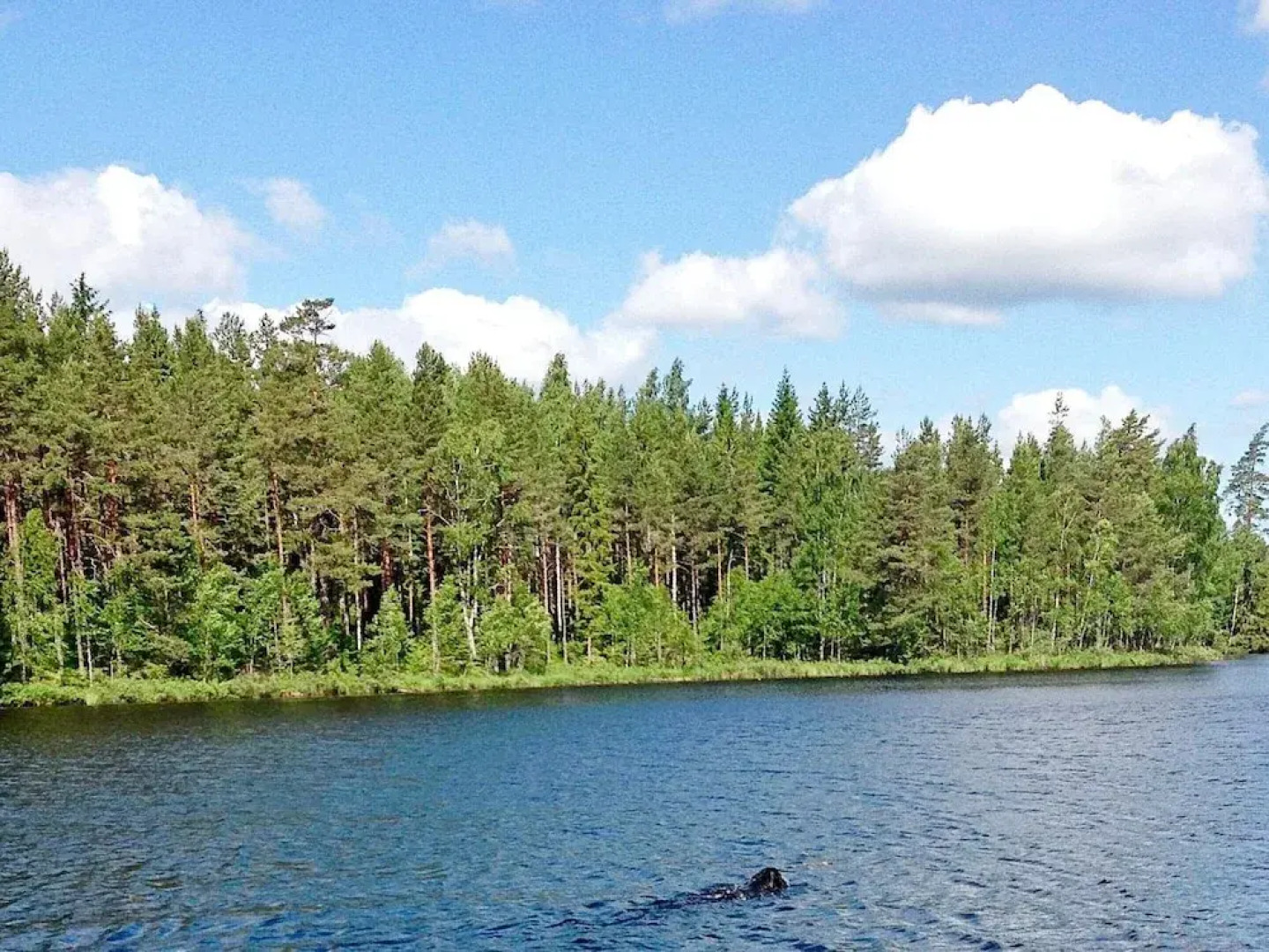 15 Person Holiday Home in Hjortkvarn-by Traum