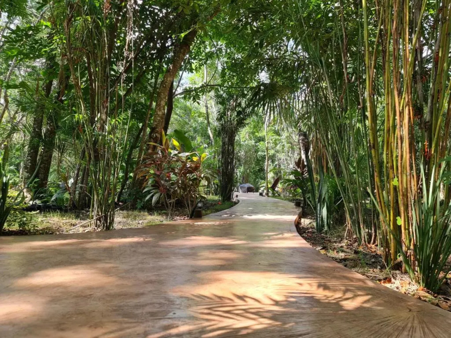 Secret Gardens Bacalar Suite 02 con alberca y bicicletas