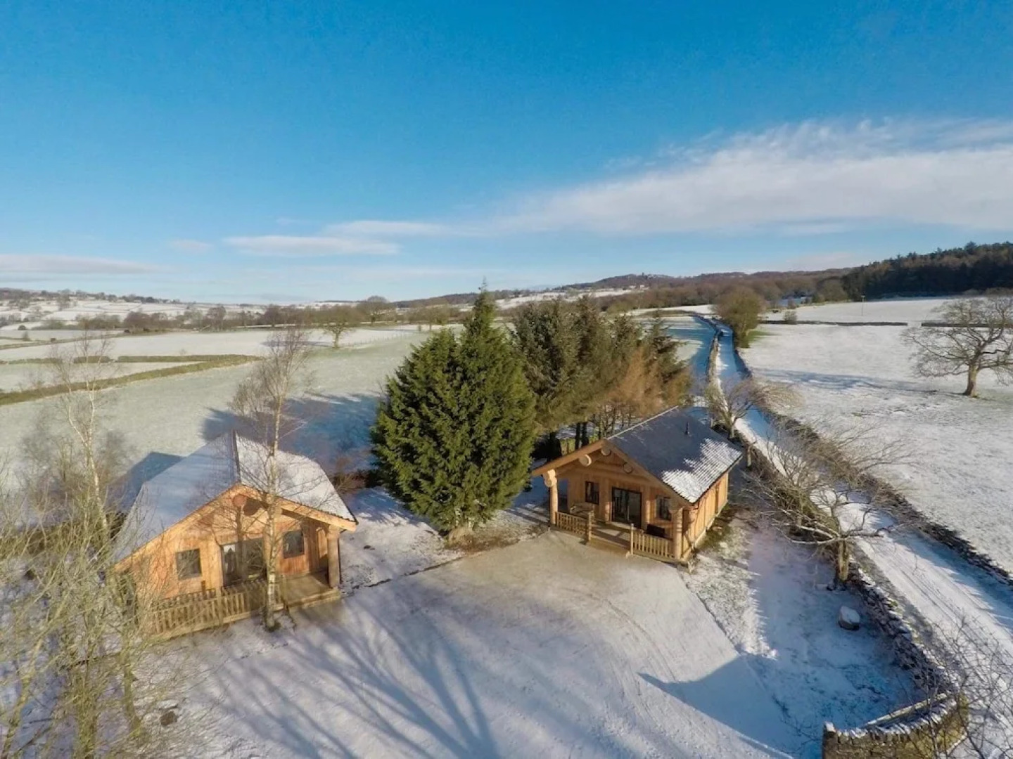 Braisty Woods - Knotty & Nice