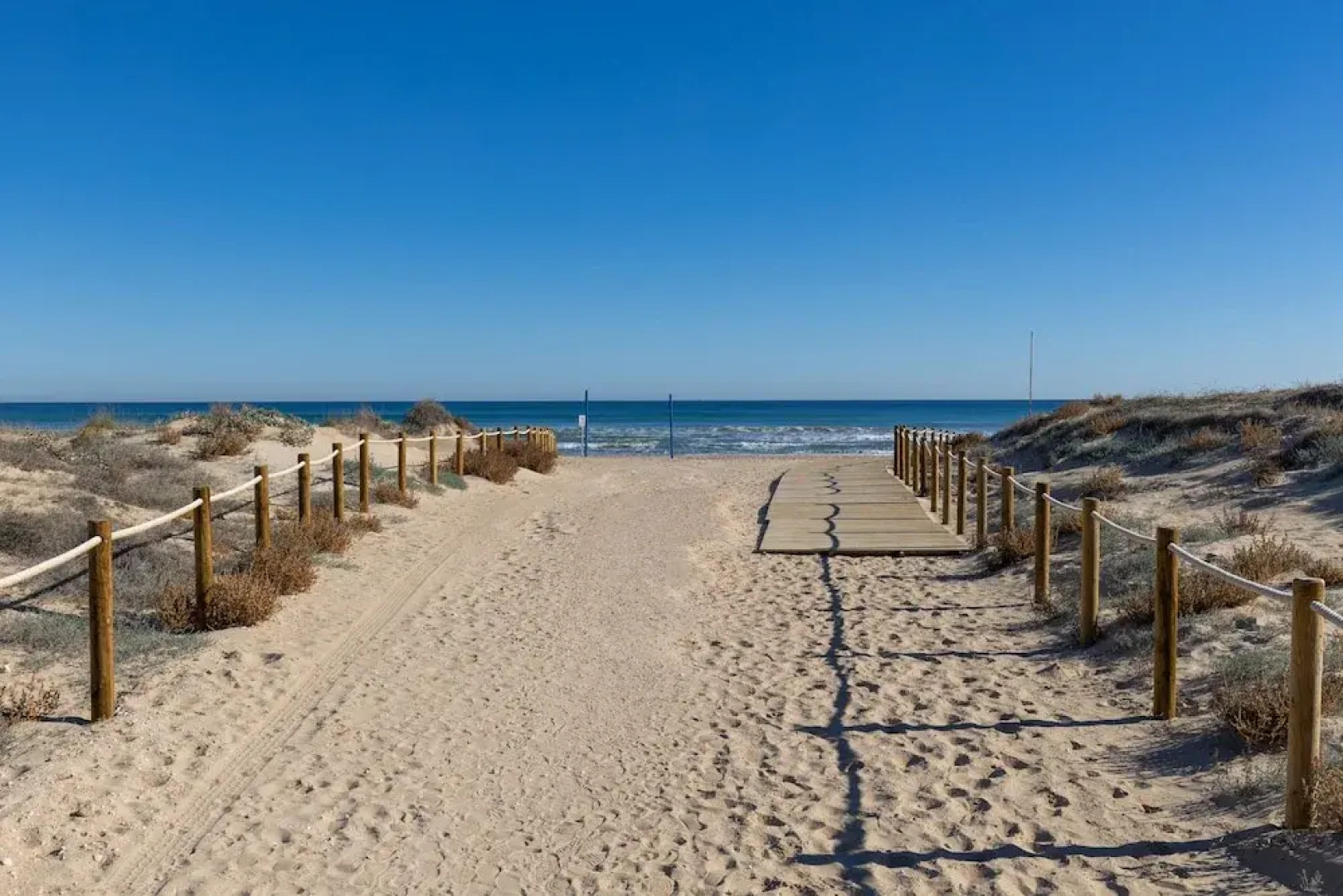 Coral Seashell Ground Floor by Fidalsa