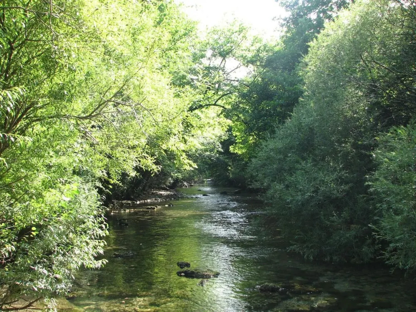 La Grange d'Emile Gites, Roulottes et Piscine