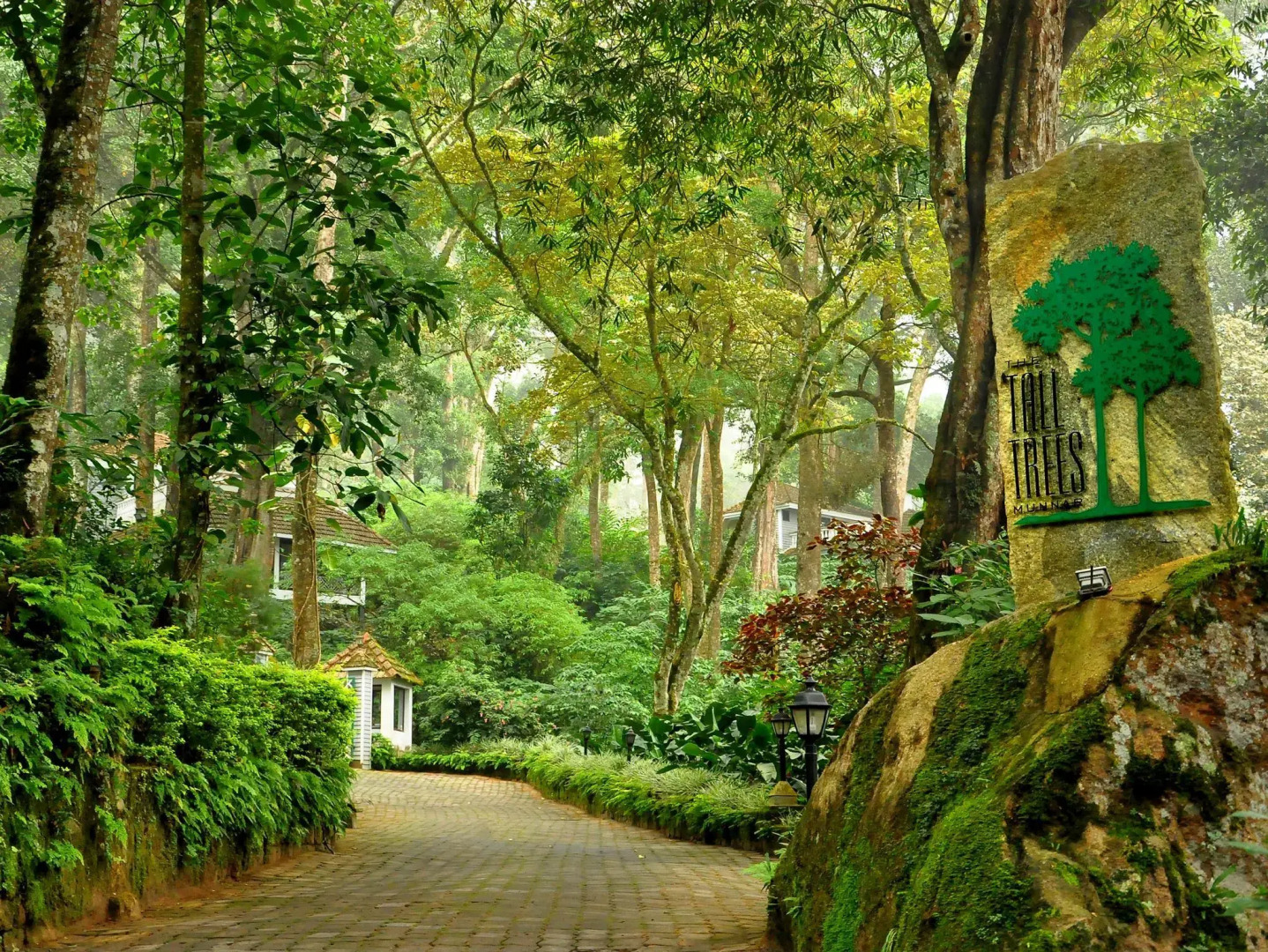 The Tall Trees Munnar