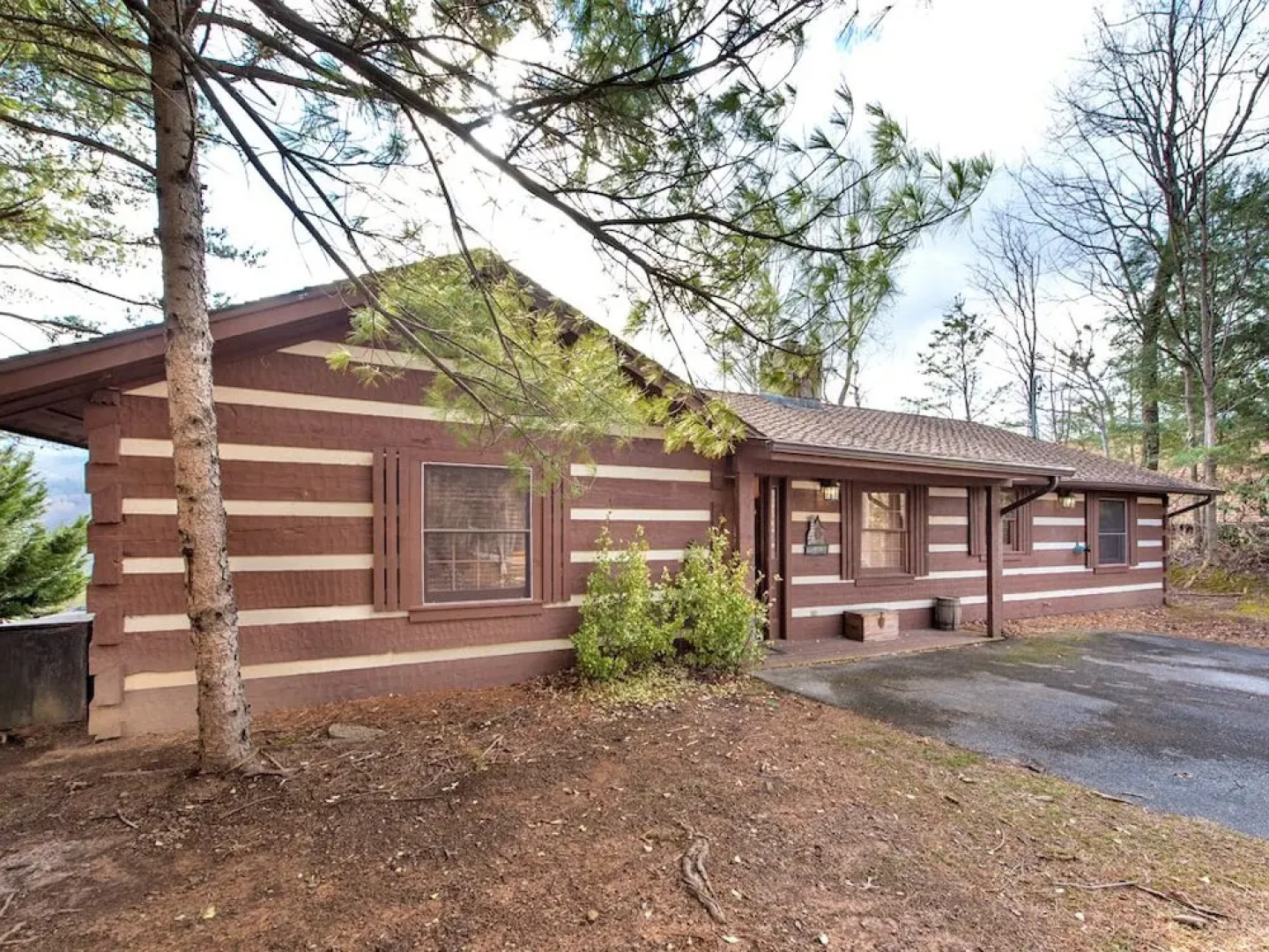 Resting Bears - Three Bedroom Cabin