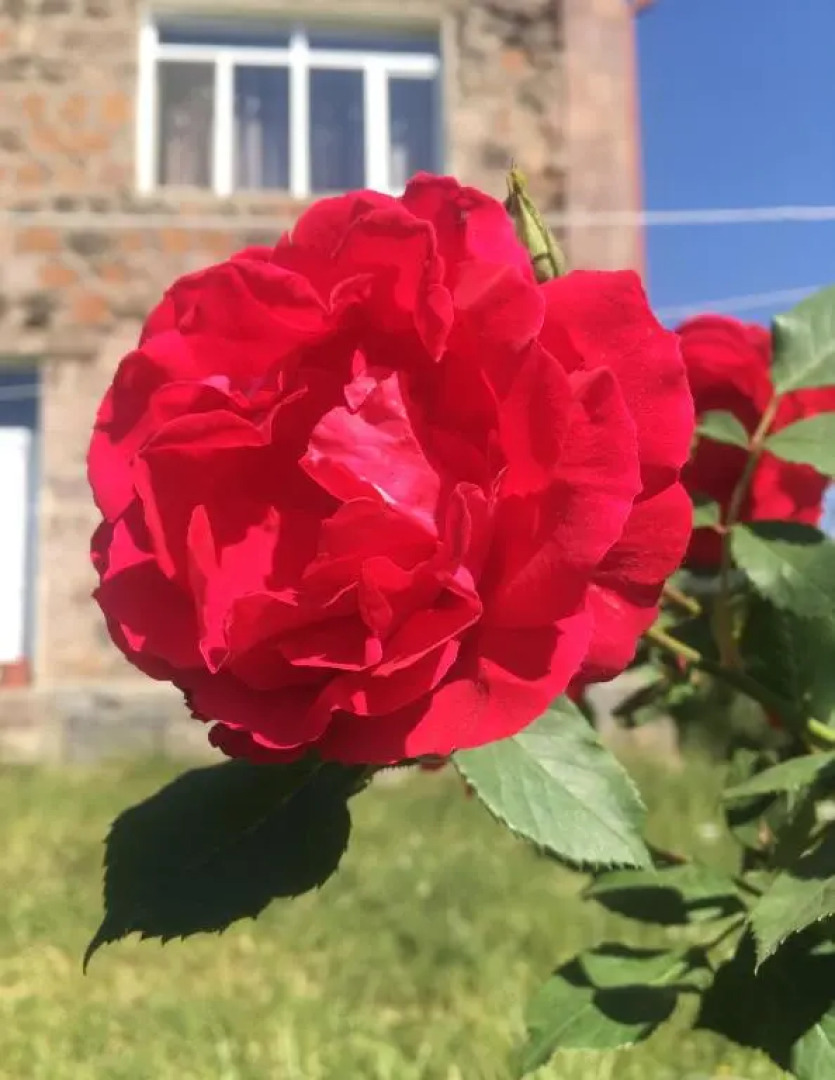 Bed and Breakfast John and Lena