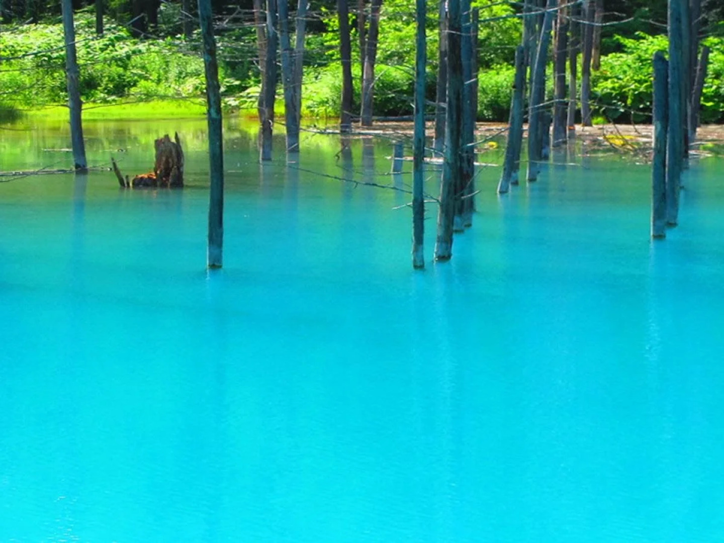 Pension Landscape Furano