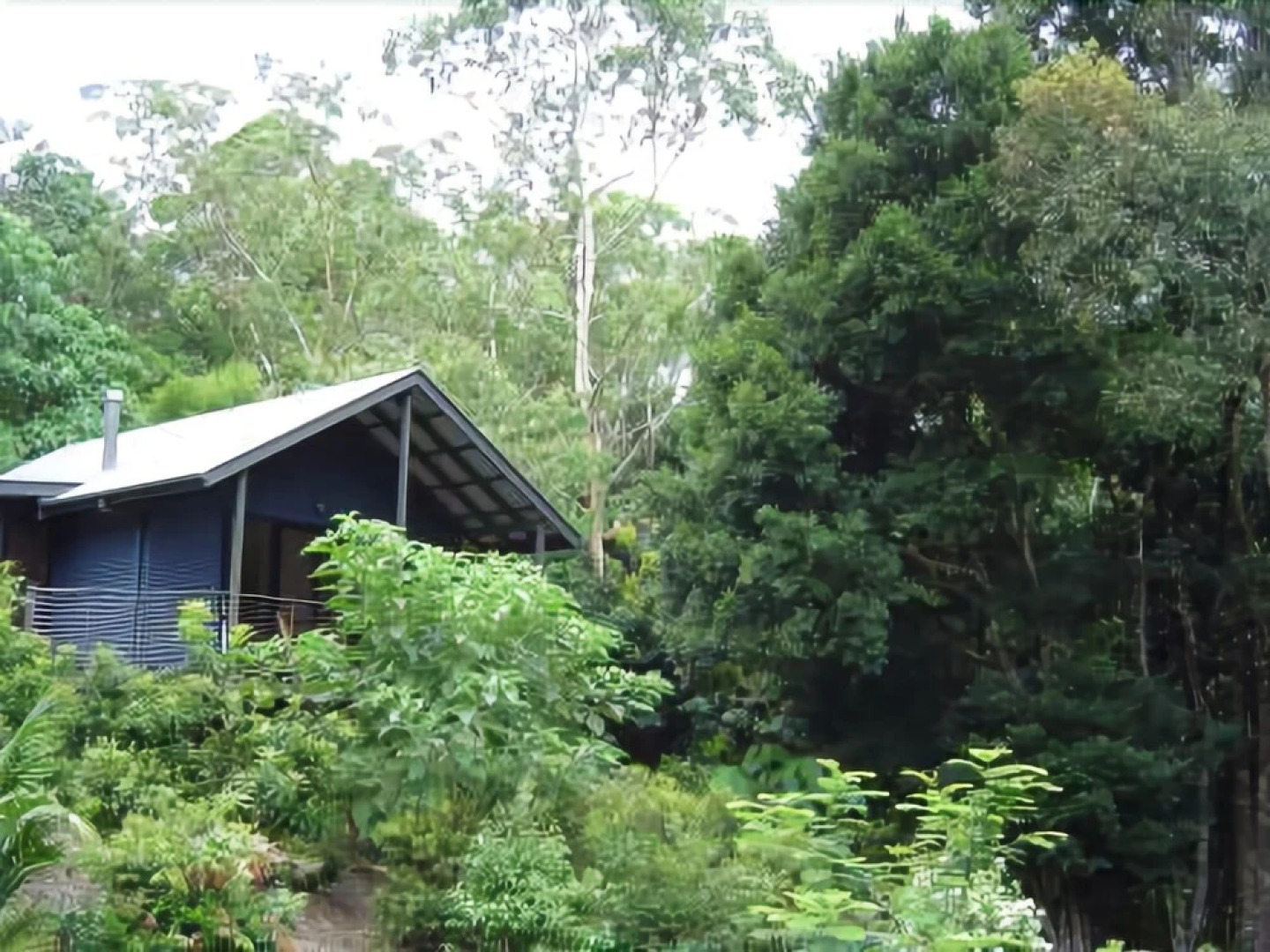 Montagues of Montville