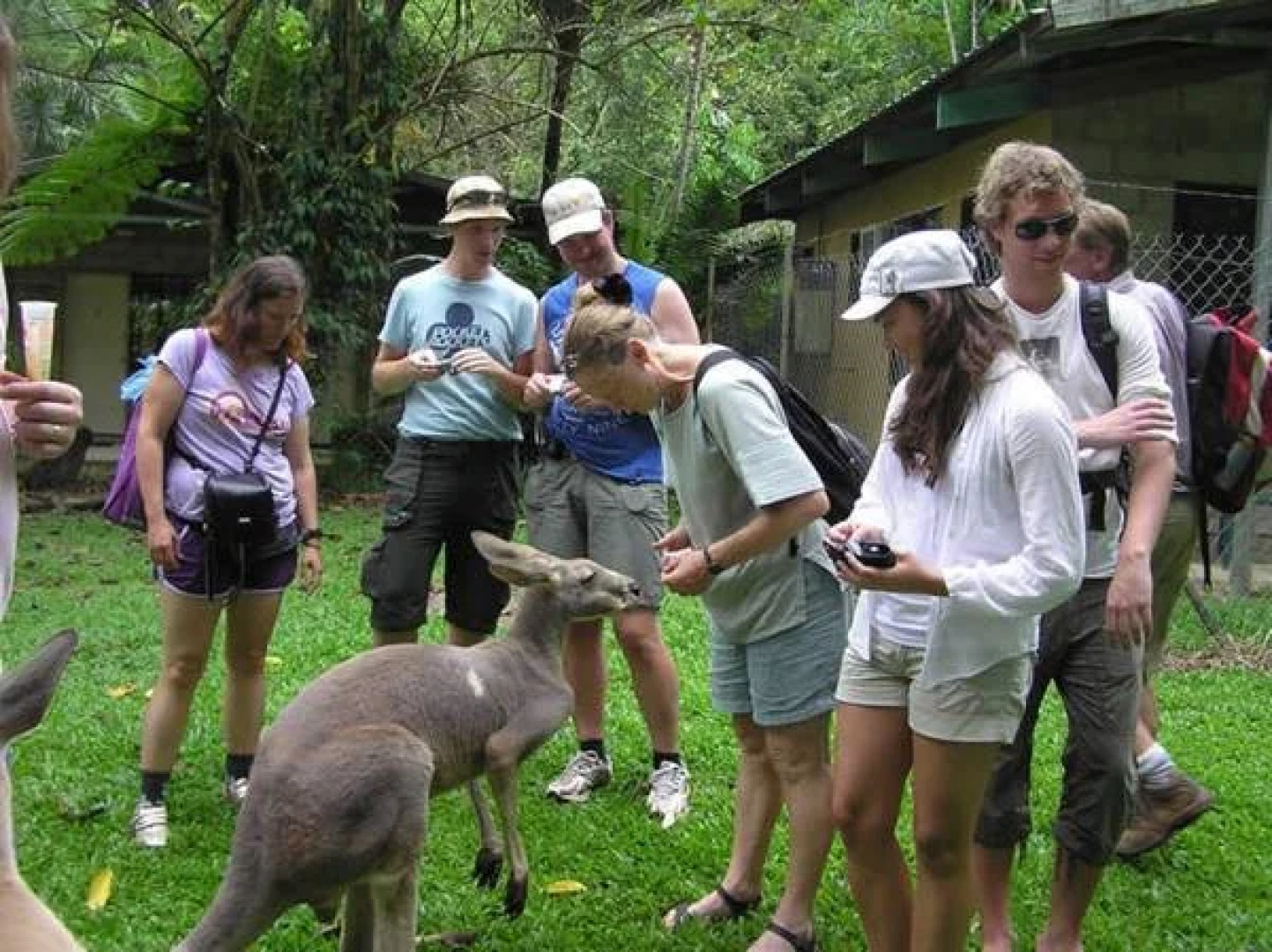 Lync Haven Rainforest Retreat