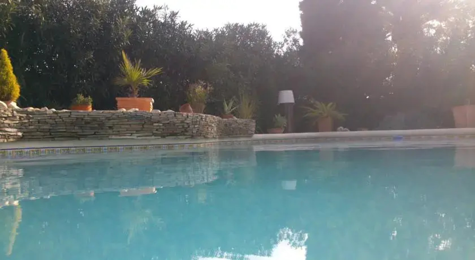 Strandnahes Palmenhaus