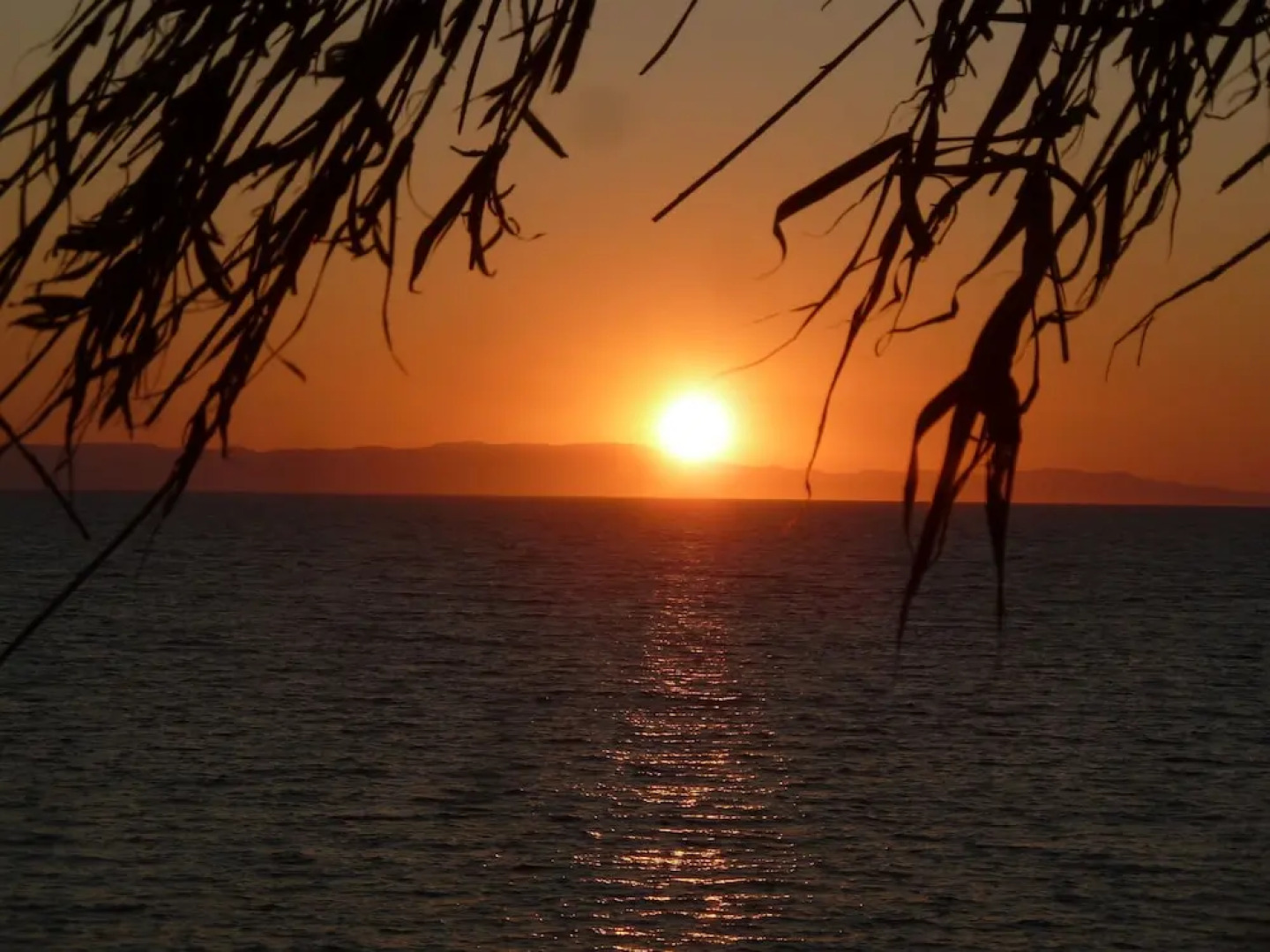 Villa Direct on the Long Sandy Beach, Swimming Pool, Tennis Court, Bicycles etc