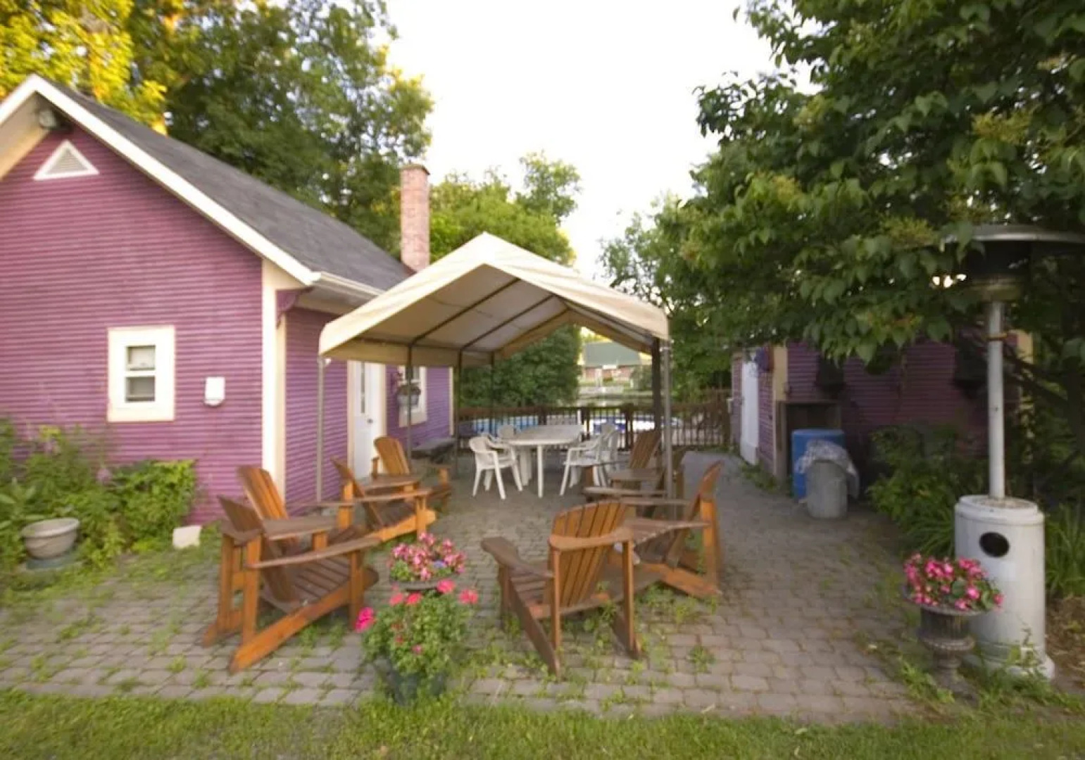 Une Fleur au Bord de l'Eau